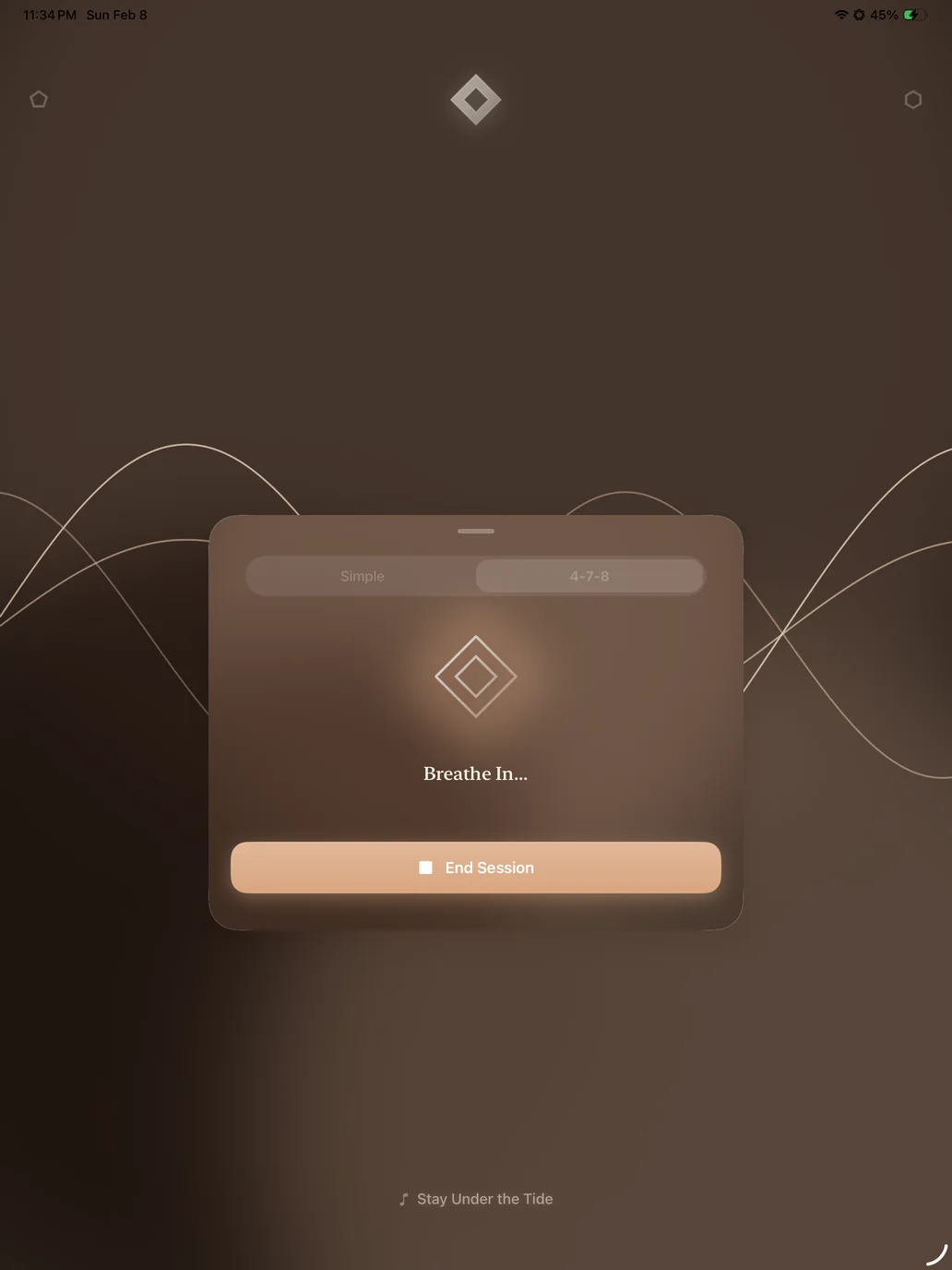 A breathing session on iPad in the Brown theme: Breathe in… under the diamond, with an End Session button.