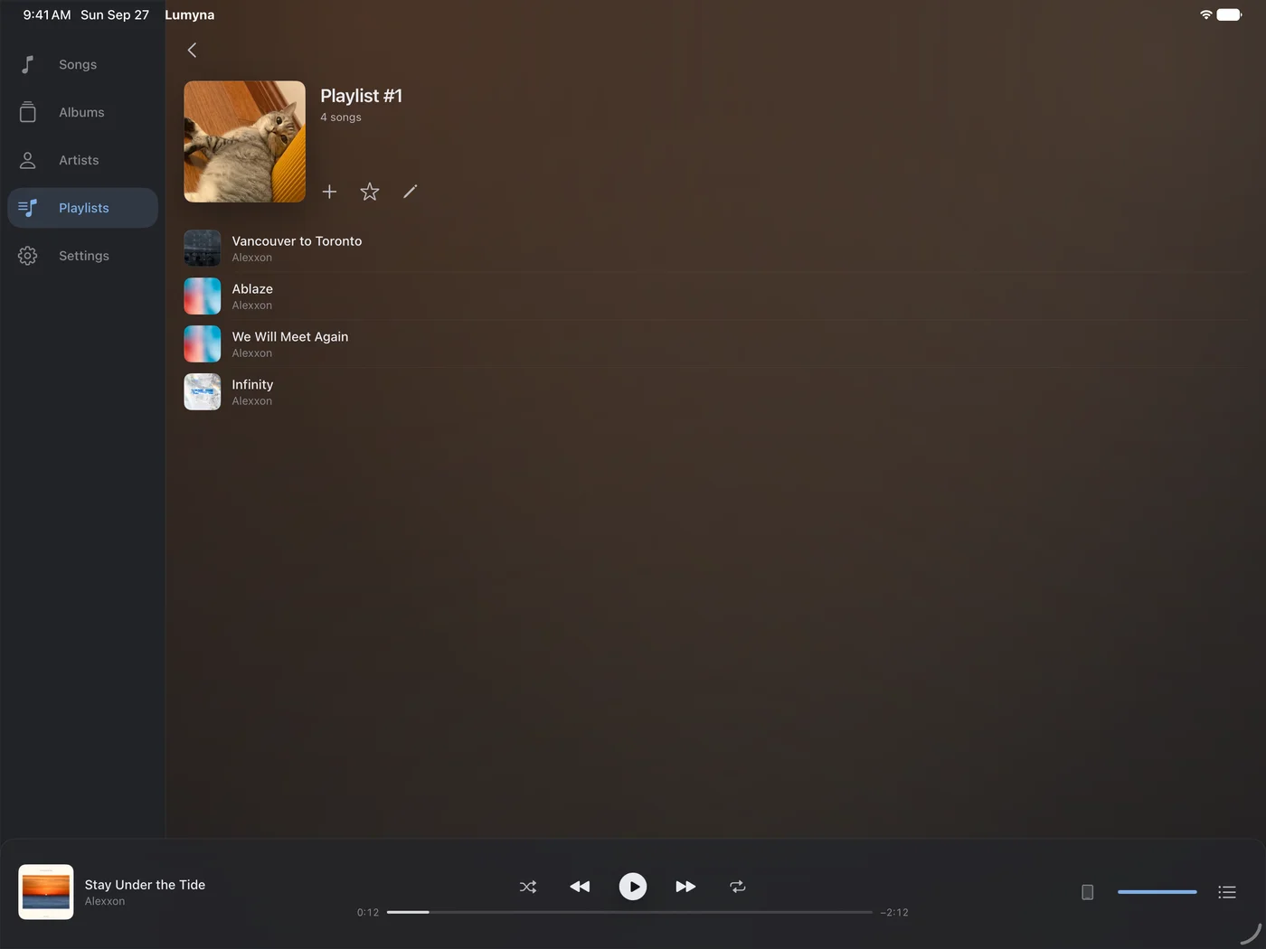 A playlist on iPad with a cat as custom cover art, four songs, a navigation rail, and a wide playback bar.